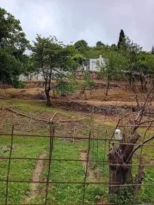 Ktima Taladianou Country House - Elios