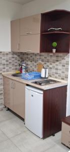 Apartment Delfina