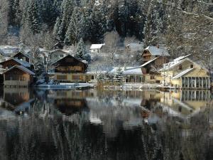 Apartmán Fischerhof Appartements Feld am See Rakousko