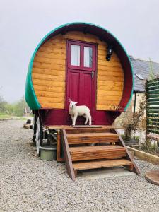 Bowtop Wagon at Lettoch Farm