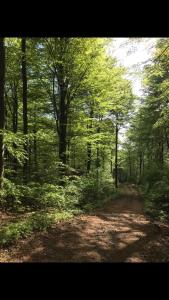 Bo på landet i Sölvesborg