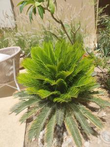 Villa Makadi Heights