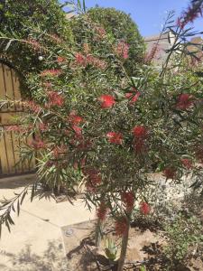 Villa Makadi Heights