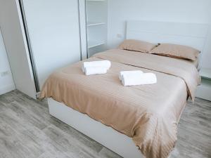 Cosy apartment Fagaras