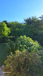 Country House Bucaneve