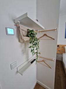 Casa do Albuquerque II