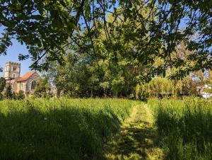 Cosy listed barn in peaceful country village