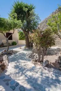 Liza's Place - Níppos