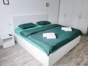 Cosy apartment Fagaras