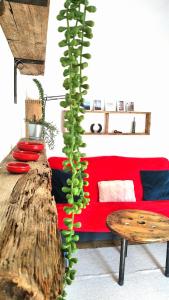 Raíz Azul 2 cerquita de Salinas