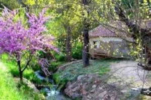 Casa Jara - Minas de Cala