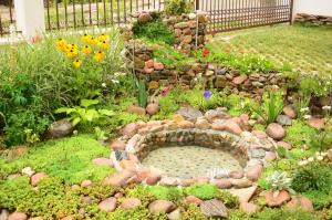 Guest House Nocturno