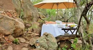 野生及免费私人游戏山林小屋 - 威尔吉旺登禁猎区