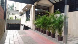 Hotel Plaza Venezuela