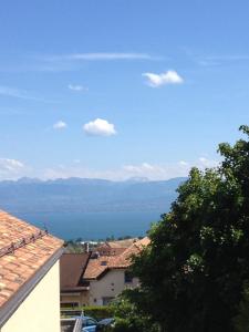 Pensjonat Domaine Viticole Tartegnin Sveits