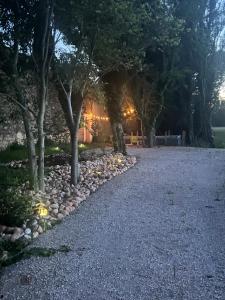 Maisons de vacances Mazet au pied des Alpilles, avec Piscine & Petanque : photos des chambres
