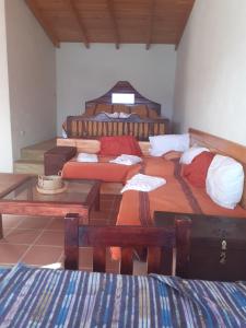 david apartment arca de noe