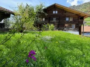 2-Bedrooms Apartment in a Chalet - Lungern