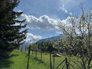 5 Bedrooms Chalet Brünig