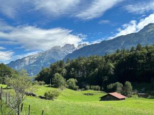 5 Bedrooms Chalet Brünig