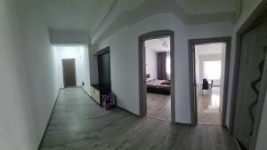 Apartament edy