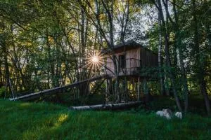 Treehouse Tučapy - Třebějice