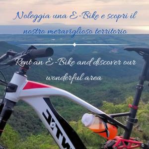 Podere San Filippo B&B-Apartment-Pet Friendly-Rent Bike and Bike Friendly