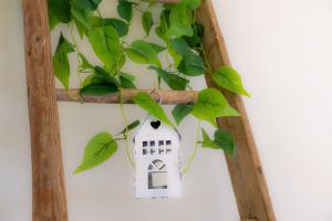 Stazione - Arno River apartment