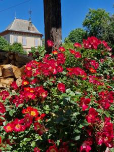 B&B / Chambres d'hotes Domaine Le Clos du Figuier Spa Grisolles : photos des chambres
