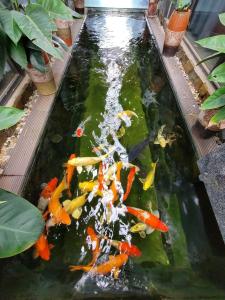 Villa Bán đảo Bảo Ninh - Đồng Hới