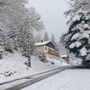 Maisons de vacances Maison vosgienne proche de la Bresse et Gerardmer : photos des chambres