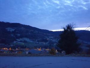 Maisons de vacances Maison vosgienne proche de la Bresse et Gerardmer : photos des chambres