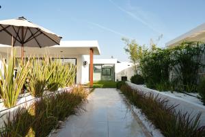 Ashta Suites Zen Suite