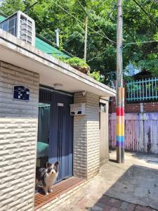 Ilbo Stay Seoul Homestay with Dog & Cat