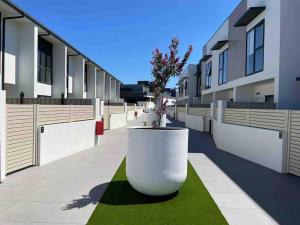 Lovely place in Bruce centre (2-bedroom-townhouse)