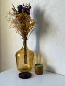 Le Bouchon - Appartement Cosy - Wifi