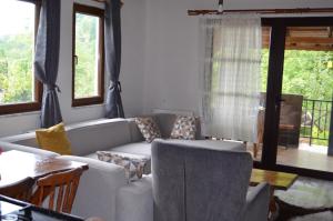 Trabzon green valley villa