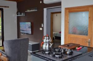 Trabzon green valley villa