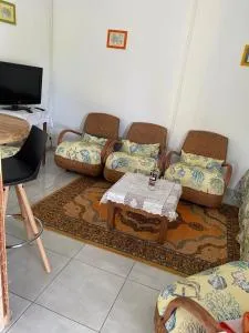 Coquillages des îles et ti-sicrier - Morne-à-lʼEau