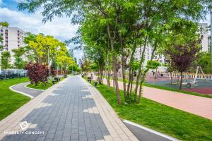 Plaza Residence Studio 316