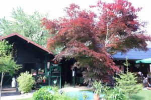 Frenkcottage 5 KM FROM THE AIRPORT- FREE TRANSPORTATION TO THE AIRPORT