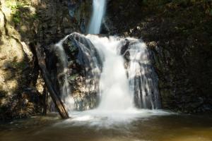 The Heart of Pai
