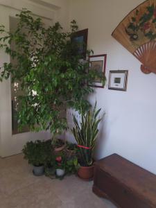 Casa vacanza "A Castelfranco dOglio"