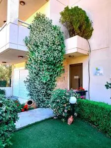 Cozy Apartments near the airport