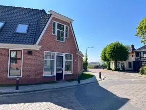 Red Cat in Bed - Houwerzijl