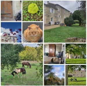 B&B / Chambres d'hotes Le Jardin des Bosquets : photos des chambres
