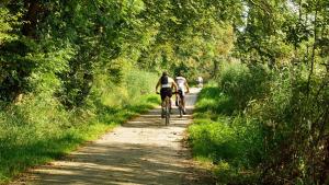 Villages vacances LES COTTAGES DE LEON : photos des chambres