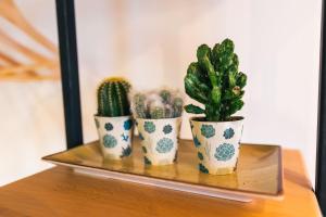 Transylvania - Center Apartment