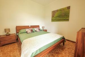 Garden - Pineto Vacanza