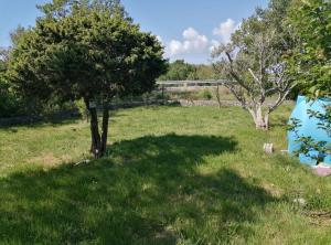 Apartment Serene in Starigrad near the town Senj